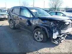 2T3RWRFV8RW229838 2024 TOYOTA RAV 4