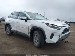 2T3RWRFV8RW230794 2024 TOYOTA RAV 4
