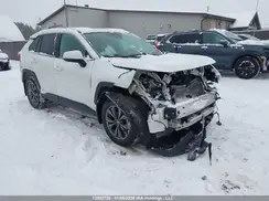2T3RWRFV8RW236031 2024 TOYOTA RAV 4