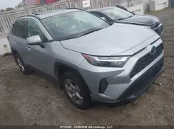 2T3RWRFV8RW237566 2024 TOYOTA RAV 4