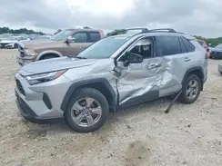2T3RWRFV8RW246560 2024 TOYOTA RAV 4