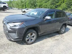 2T3RWRFV8RW248096 2024 TOYOTA RAV 4