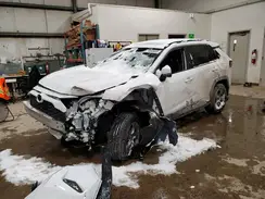 2T3RWRFV8RW248731 2024 TOYOTA RAV 4