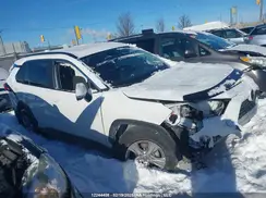 2T3RWRFV8SW259718 2025 TOYOTA RAV 4