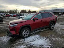 2T3RWRFV8SW262988 2025 TOYOTA RAV 4