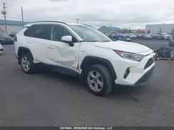 2T3RWRFV9KW003992 2019 TOYOTA RAV 4