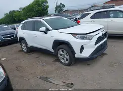 2T3RWRFV9KW024955 2019 TOYOTA RAV 4