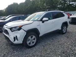 2T3RWRFV9KW032103 2019 TOYOTA RAV 4