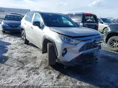 2T3RWRFV9KW038791 2019 TOYOTA RAV 4