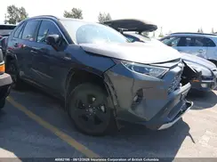 2T3RWRFV9LW083635 2020 TOYOTA CAMRY