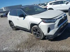 2T3RWRFV9MW119955 2021 TOYOTA RAV 4