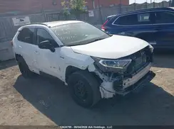 2T3RWRFV9MW120863 2021 TOYOTA RAV 4