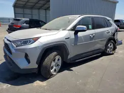 2T3RWRFV9MW126646 2021 TOYOTA RAV 4