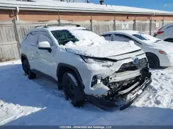 2T3RWRFV9PW163667 2023 TOYOTA RAV 4