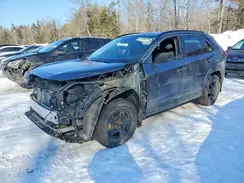 2T3RWRFV9PW163958 2023 TOYOTA RAV 4