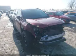 2T3RWRFV9PW171235 2023 TOYOTA RAV 4