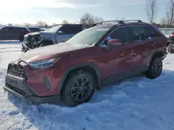 2T3RWRFV9PW183546 2023 TOYOTA RAV 4