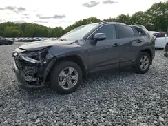2T3RWRFV9RW201773 2024 TOYOTA RAV 4