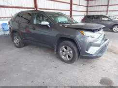 2T3RWRFV9RW204446 2024 TOYOTA RAV 4