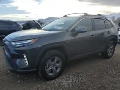 2T3RWRFV9RW213082 2024 TOYOTA RAV 4