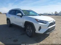 2T3RWRFV9RW216810 2024 TOYOTA RAV 4