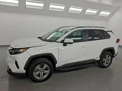2T3RWRFV9RW223868 2024 TOYOTA RAV 4