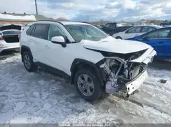 2T3RWRFV9RW226222 2024 TOYOTA RAV 4