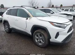 2T3RWRFV9RW236040 2024 TOYOTA RAV 4