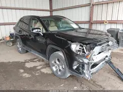 2T3RWRFV9RW237186 2024 TOYOTA RAV 4