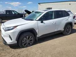 2T3RWRFV9SW272946 2025 TOYOTA RAV 4