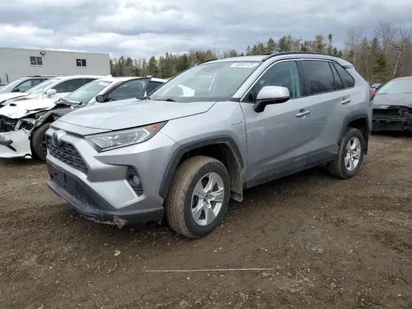 2T3RWRFVXKW009509 2019 TOYOTA RAV 4 - Image 1