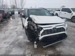 2T3RWRFVXKW025113 2019 TOYOTA RAV 4