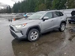 2T3RWRFVXKW045765 2019 TOYOTA RAV 4