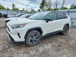 2T3RWRFVXLW061160 2020 TOYOTA RAV 4