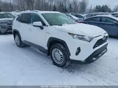 2T3RWRFVXLW084969 2020 TOYOTA RAV 4