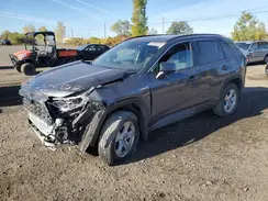 2T3RWRFVXMW118622 2021 TOYOTA RAV 4