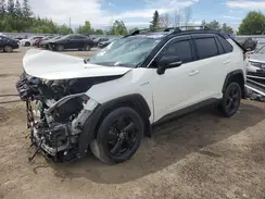 2T3RWRFVXMW123805 2021 TOYOTA RAV 4