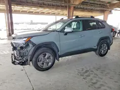 2T3RWRFVXNW129704 2022 TOYOTA RAV 4