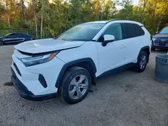 2T3RWRFVXNW134238 2022 TOYOTA RAV 4