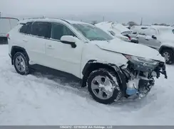 2T3RWRFVXPW158042 2023 TOYOTA RAV 4