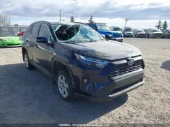 2T3RWRFVXPW176542 2023 TOYOTA RAV 4