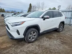 2T3RWRFVXPW181269 2023 TOYOTA RAV 4