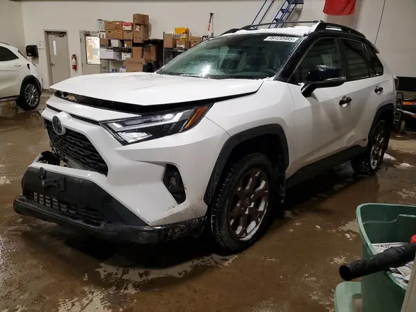 2T3RWRFVXRW188029 2024 TOYOTA RAV 4 - Image 1