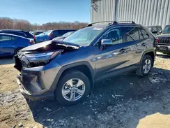 2T3RWRFVXRW194011 2024 TOYOTA RAV 4