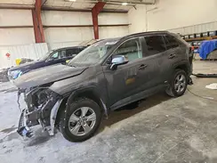 2T3RWRFVXRW200292 2024 TOYOTA RAV 4