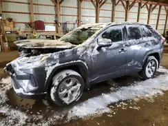 2T3RWRFVXRW223331 2024 TOYOTA RAV 4