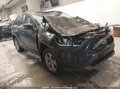 2T3RWRFVXRW230019 2024 TOYOTA RAV 4