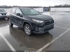 2T3RWRFVXRW230666 2024 TOYOTA RAV 4