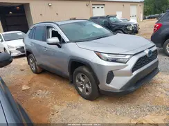 2T3RWRFVXRW234457 2024 TOYOTA RAV 4