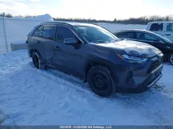 2T3RWRFVXRW234507 2024 TOYOTA RAV 4